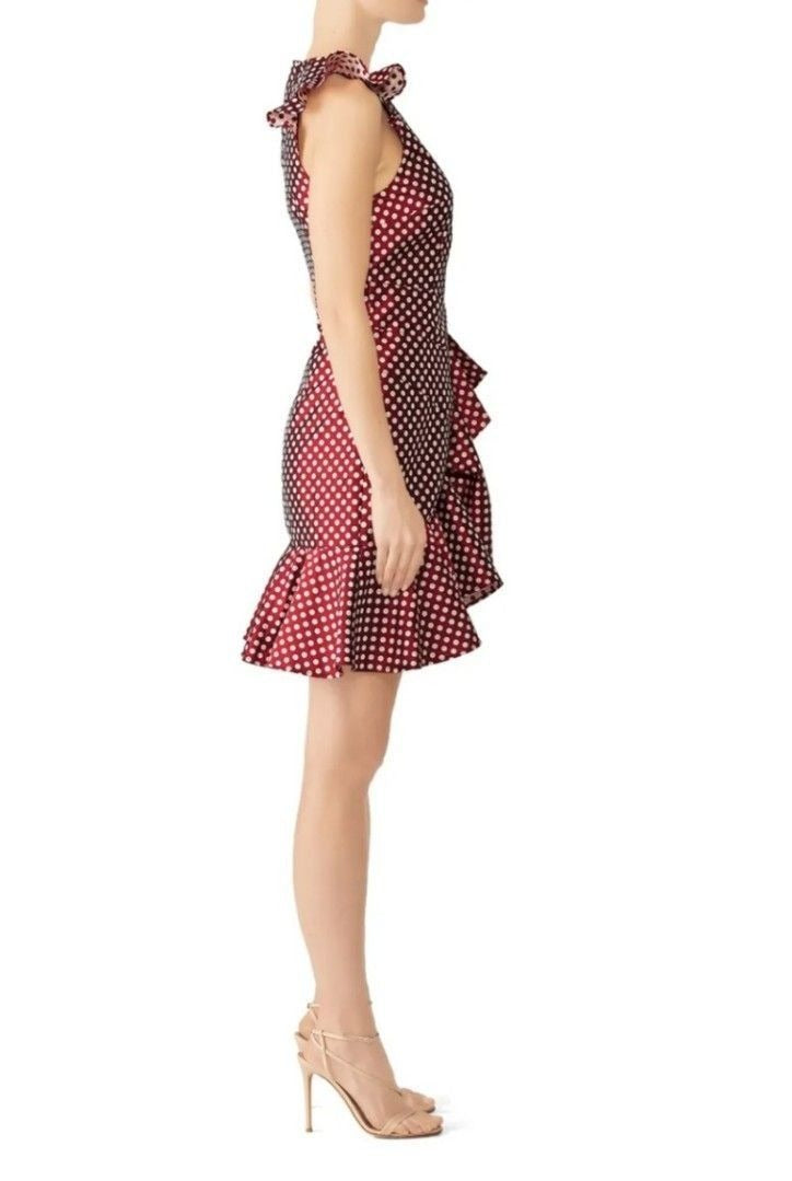 Keepsake Polka Dot Dress